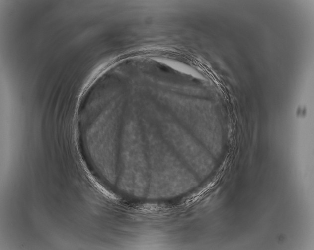 X0000094820101200712141654