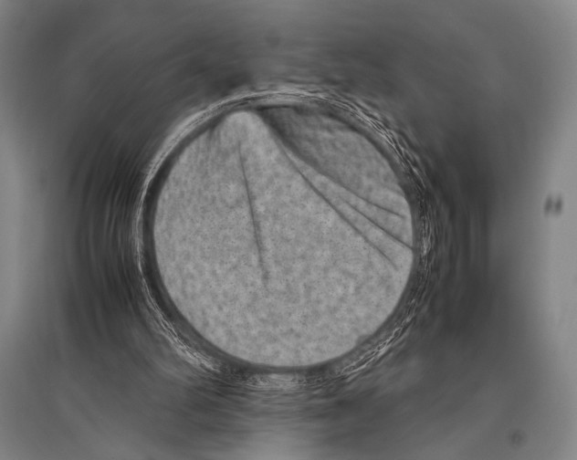 X0000094820102200712141654