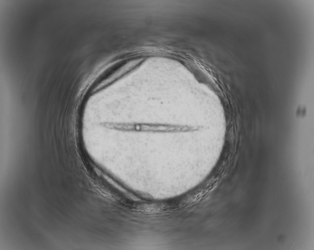 X0000094820103200712141654