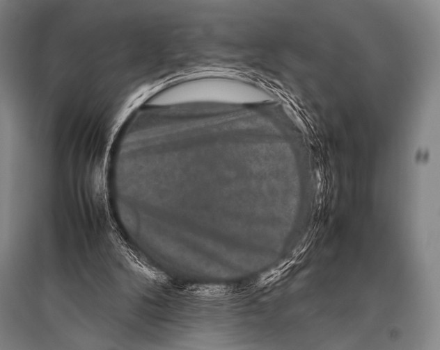 X0000094820104200712141654