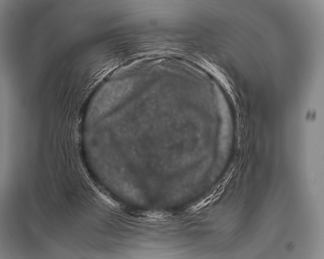 X0000094820105200712141654