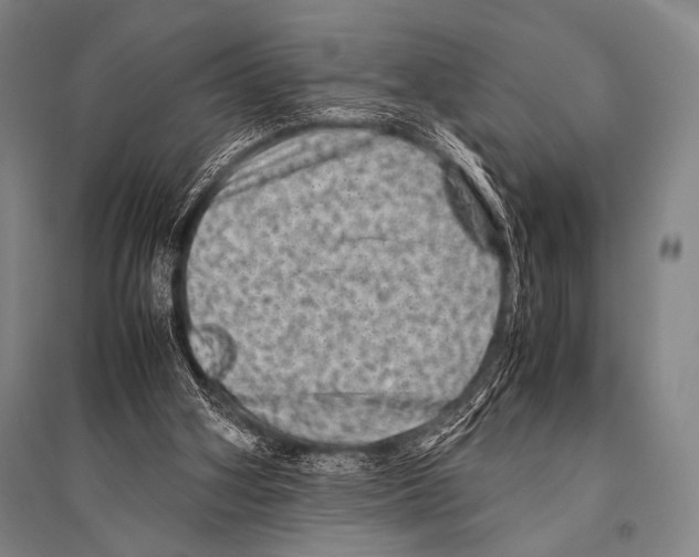 X0000094820106200712141654