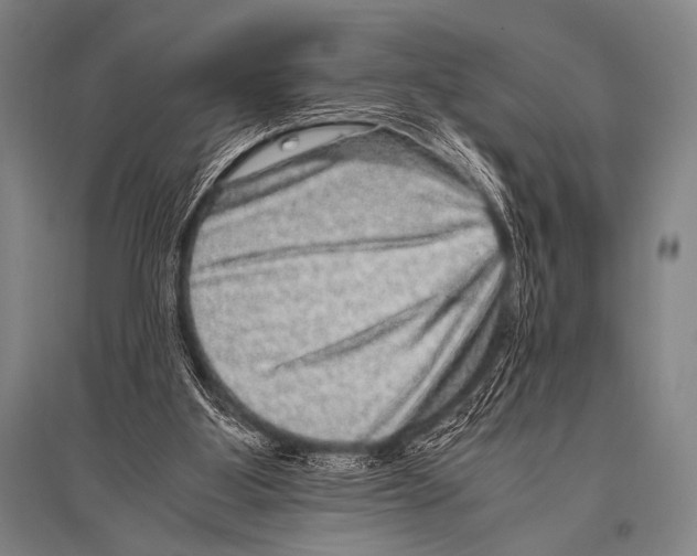 X0000094820107200712141654