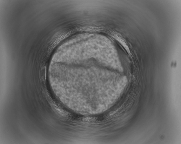 X0000094820109200712141654