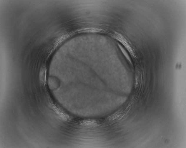X0000094820110200712141654