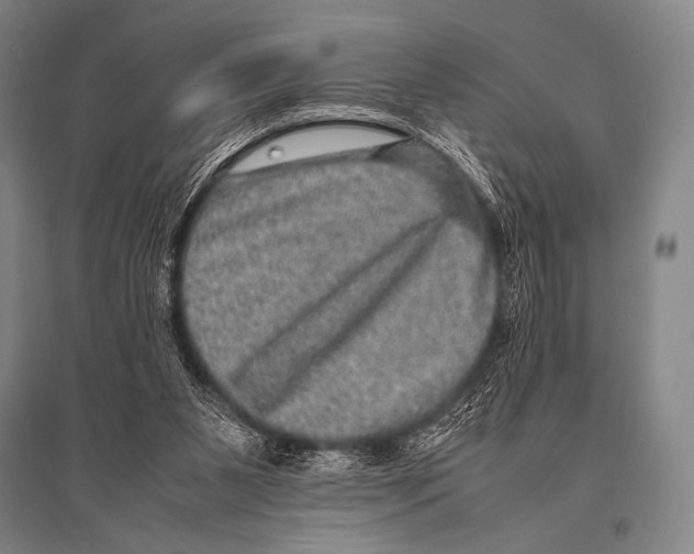 X0000094820111200712141654