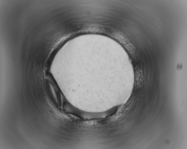 X0000094820112200712141654