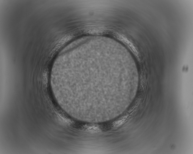 X0000094820113200712141654