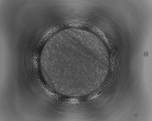 X0000094820114200712141654