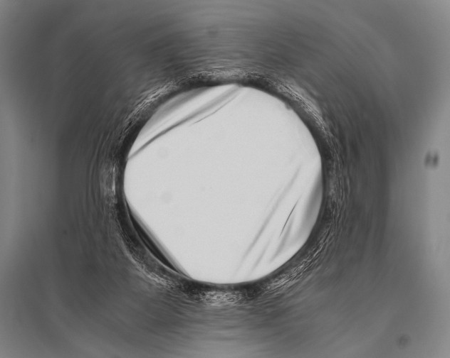 X0000094820115200712141654