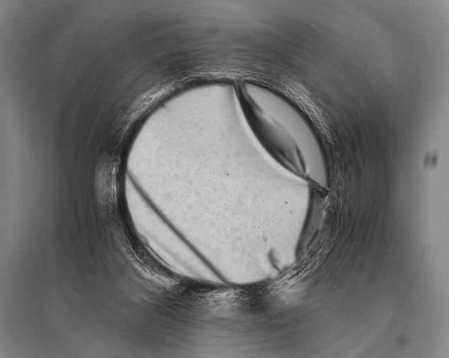 X0000094820116200712141654