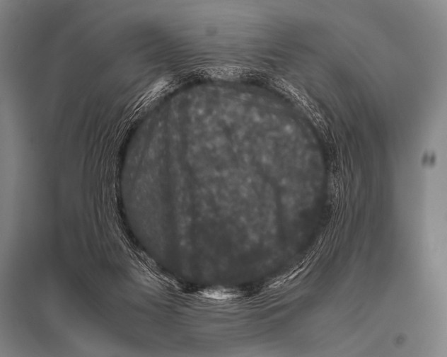 X0000094820117200712141653