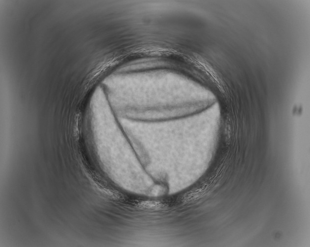 X0000094820119200712141653