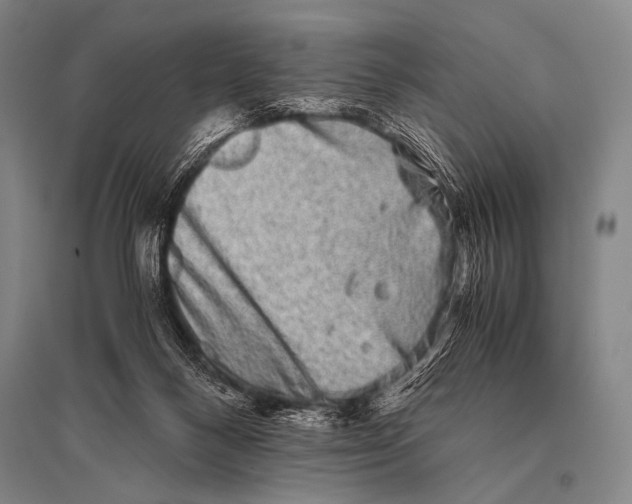X0000094820120200712141653