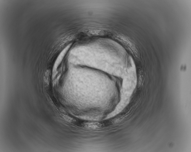 X0000094820121200712141653