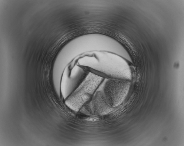 X0000094820124200712141653