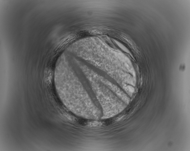 X0000094820125200712141653