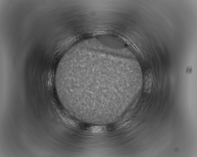 X0000094820126200712141653