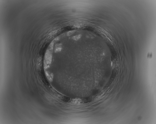 X0000094820127200712141653