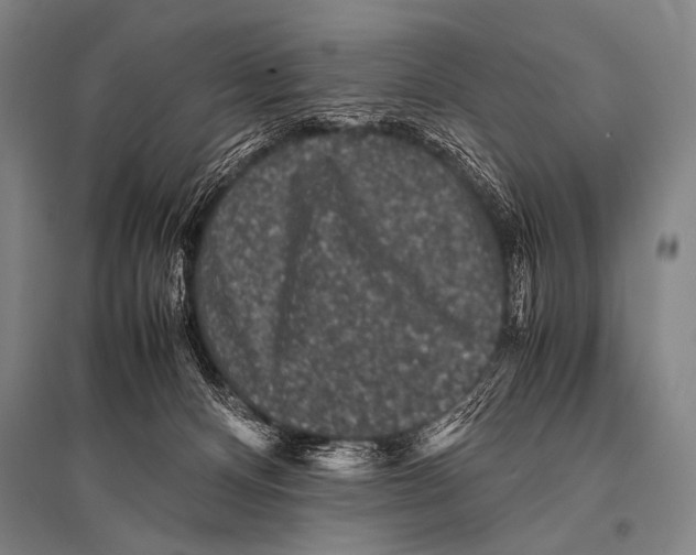 X0000094820128200712141653