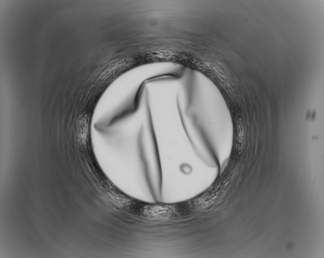 X0000094820129200712141653