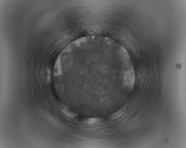 X0000094820130200712141653