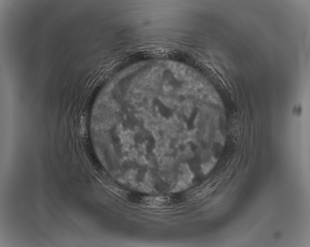 X0000094820131200712141653