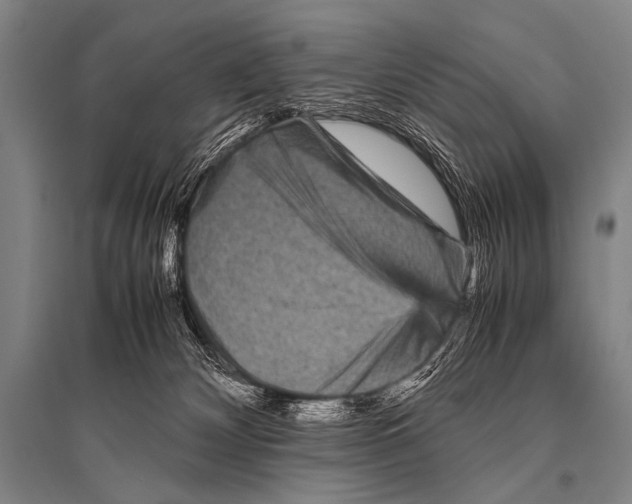 X0000094820132200712141653