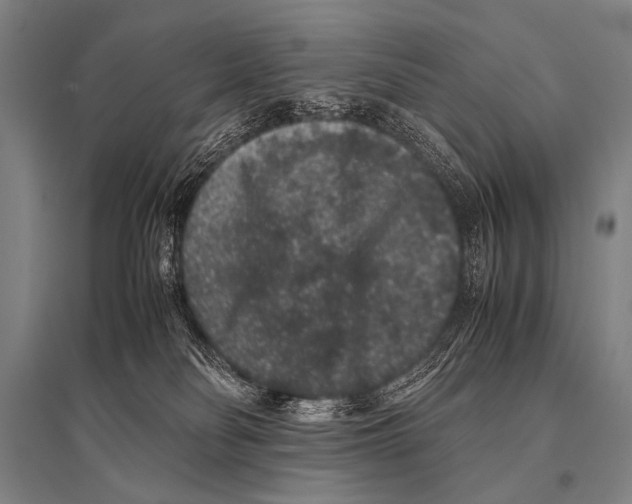 X0000094820134200712141653
