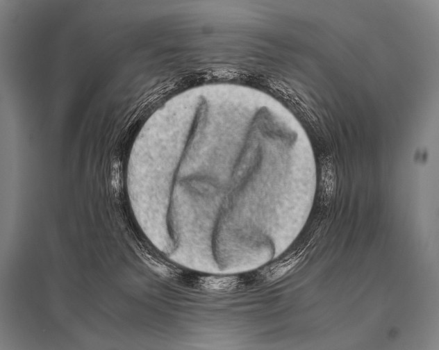 X0000094820135200712141653