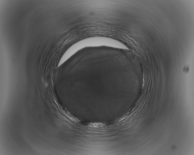 X0000094820137200712141653