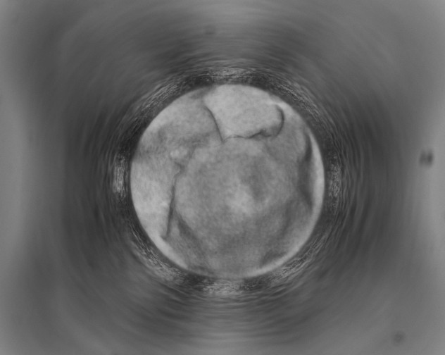 X0000094820138200712141653
