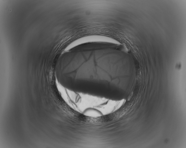 X0000094820139200712141653