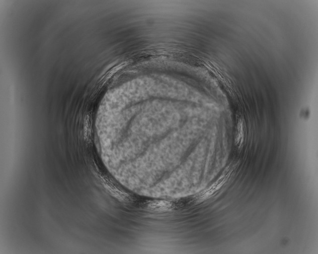 X0000094820140200712141653