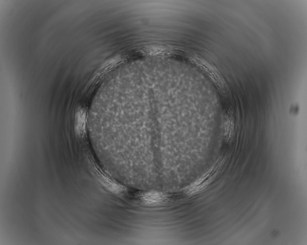 X0000094820142200712141653