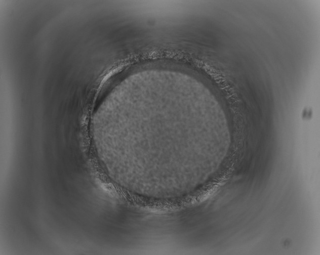 X0000094820144200712141653