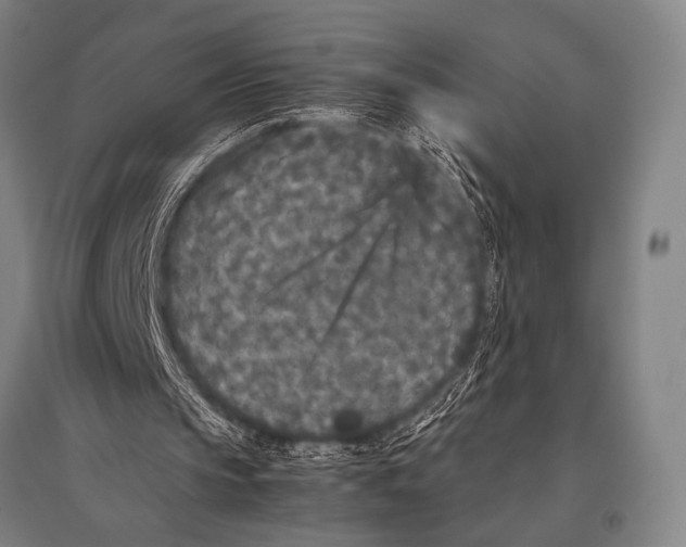 X0000094820145200712141652