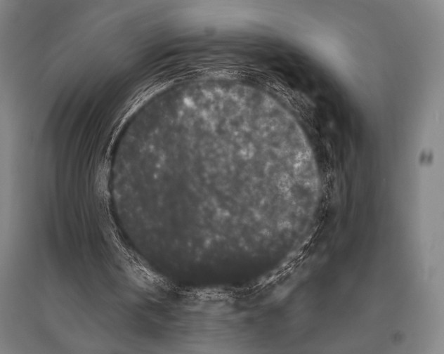 X0000094820146200712141652