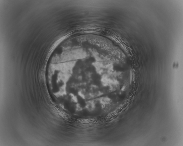 X0000094820147200712141652