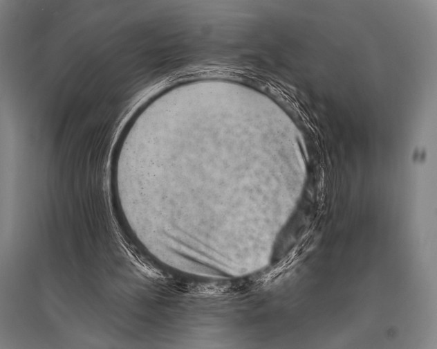 X0000094820148200712141652