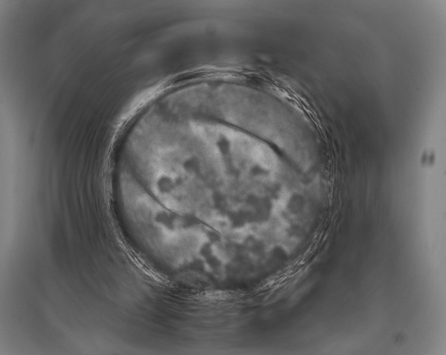 X0000094820149200712141652