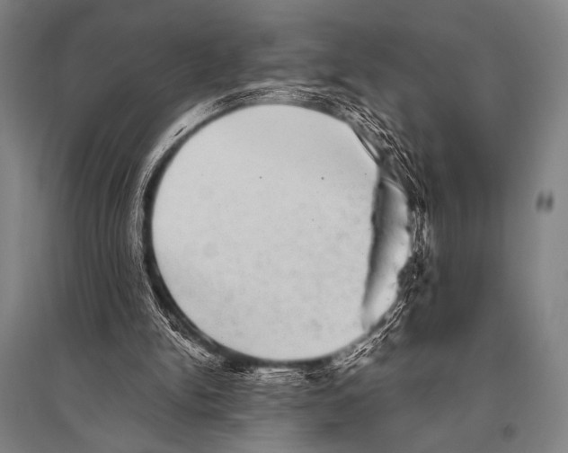 X0000094820150200712141652