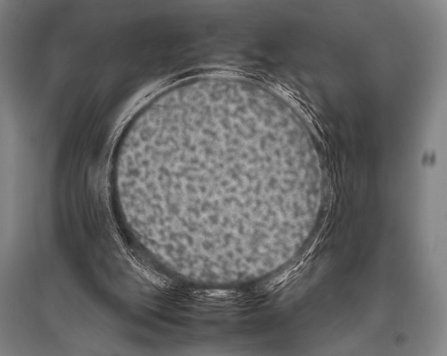 X0000094820151200712141652