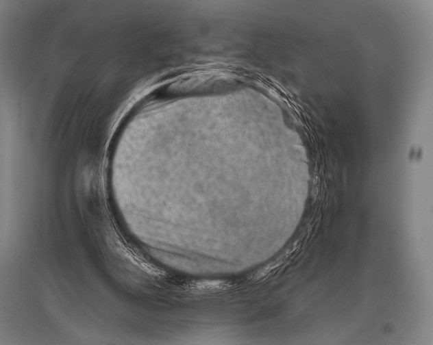 X0000094820152200712141652