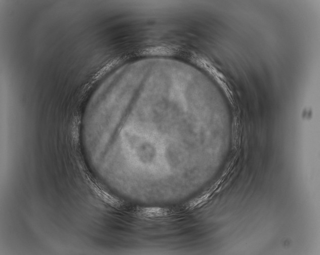 X0000094820153200712141652