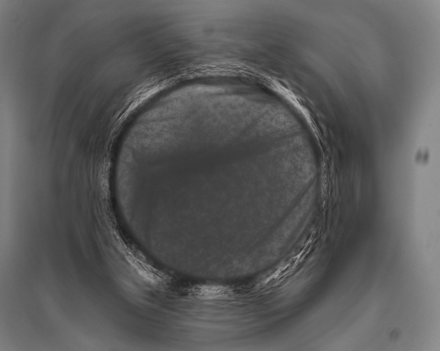 X0000094820154200712141652