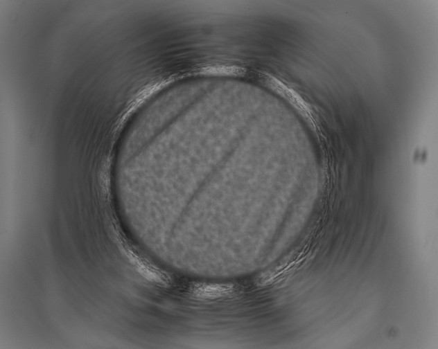 X0000094820155200712141652