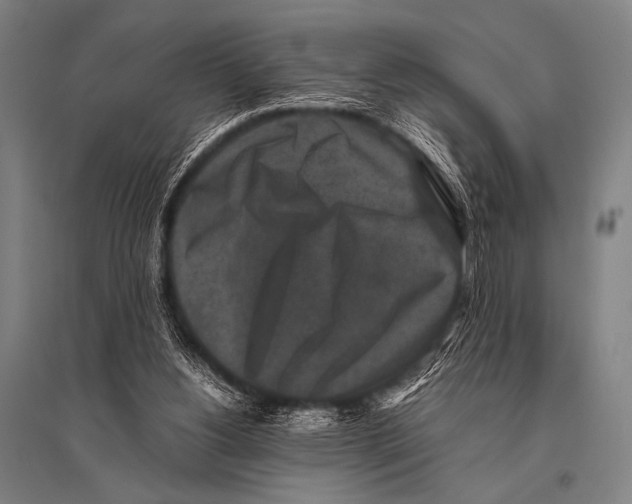 X0000094820156200712141652