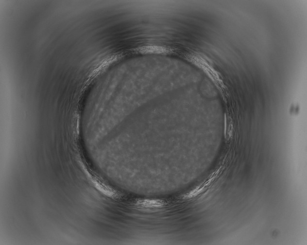 X0000094820157200712141652