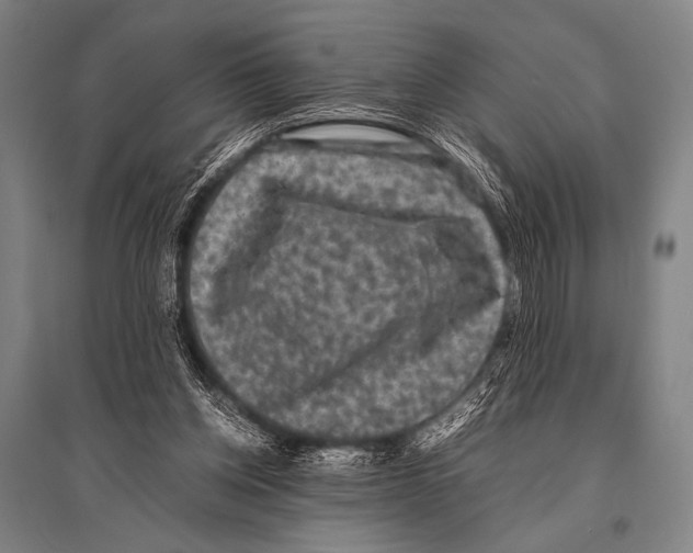 X0000094820158200712141652